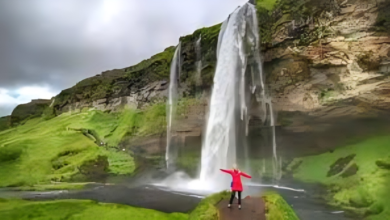 Seljalandsfoss