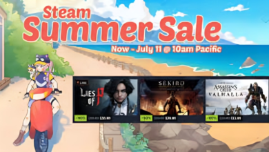 Steam Sale 2024